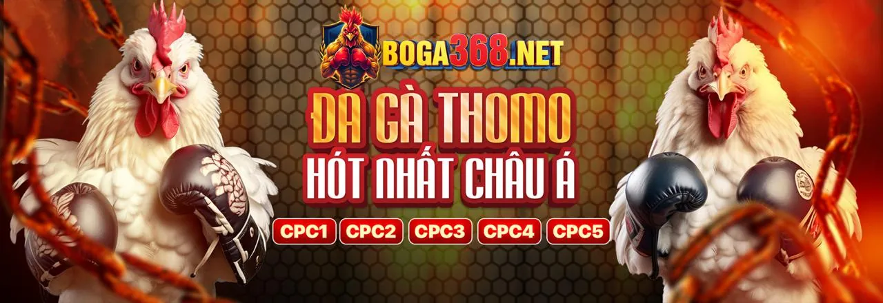 Đá Gà Trực Tuyến Hấp Dẫn tại bet678 chính thức